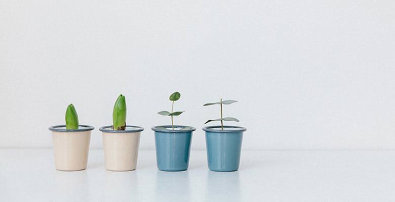 Firefox与IE已死？Chrome一统天下