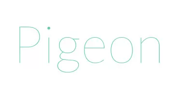 pigeon